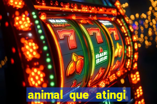 animal que atingi 230 decibeis